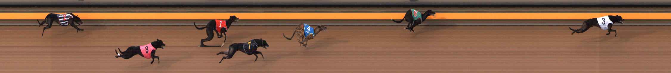 Photo finish for Ballarat Race 3