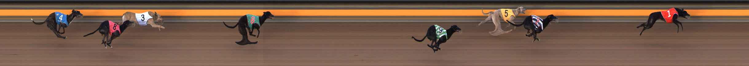 Photo finish for Ballarat Race 6