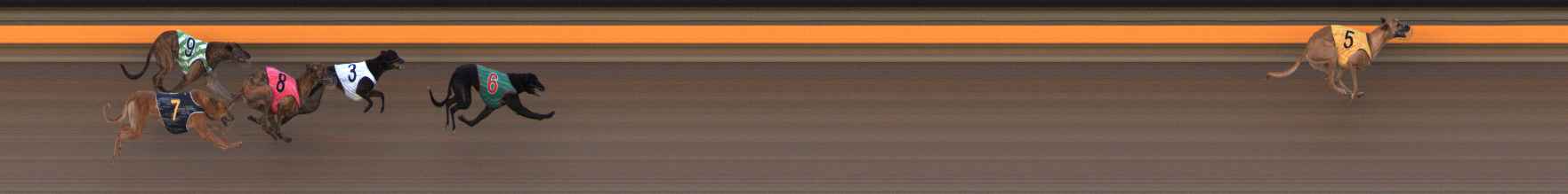 Photo finish for Ballarat Race 9