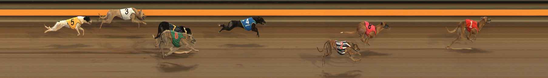 Photo finish for Ballarat Race 10