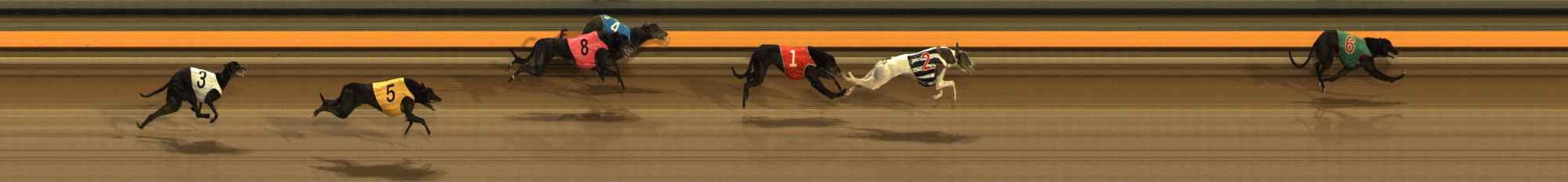 Photo finish for Ballarat Race 11