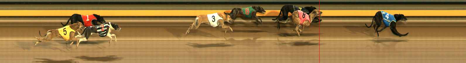 Photo finish for Ballarat Race 12