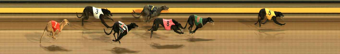 Photo finish for Ballarat Race 13