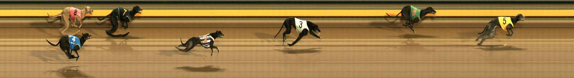 Photo finish for Ballarat Race 1