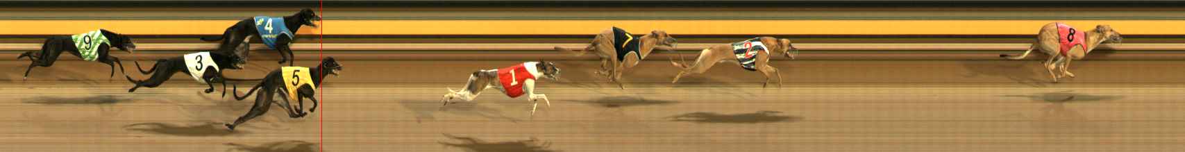 Photo finish for Ballarat Race 6