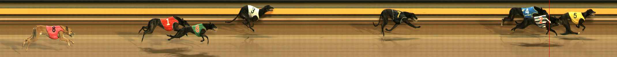 Photo finish for Ballarat Race 7