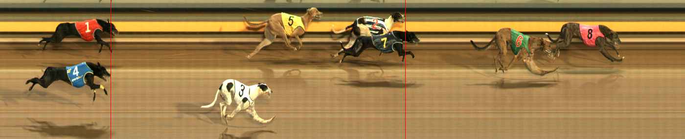 Photo finish for Ballarat Race 12