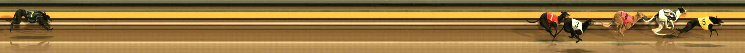 Photo finish for Ballarat Race 13