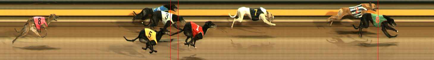 Photo finish for Ballarat Race 14