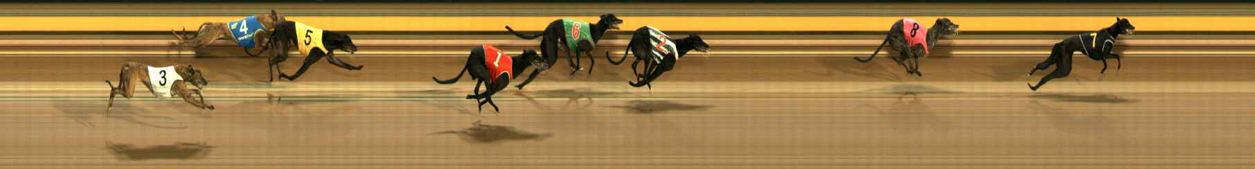 Photo finish for Ballarat Race 5