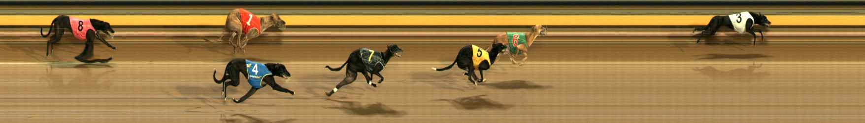 Photo finish for Ballarat Race 8