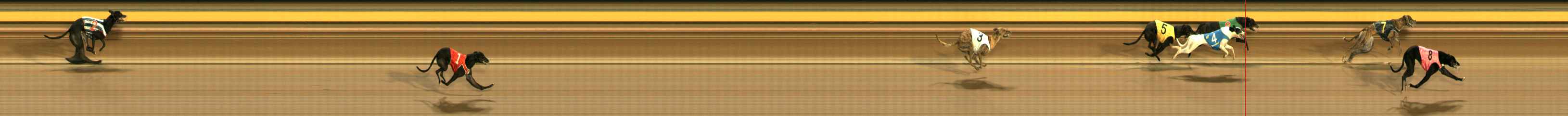 Photo finish for Ballarat Race 9