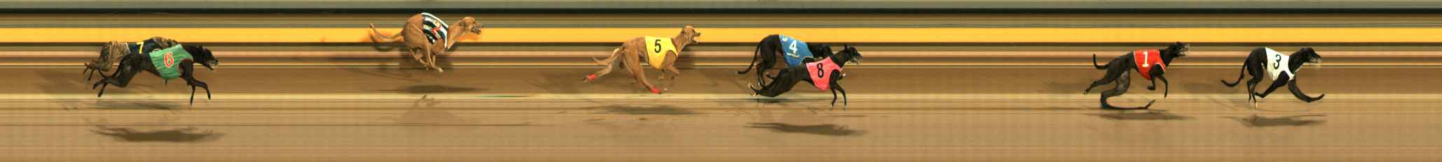 Photo finish for Ballarat Race 10