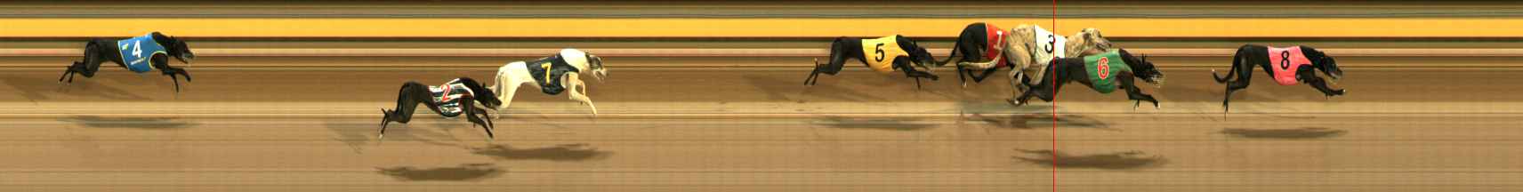 Photo finish for Ballarat Race 12