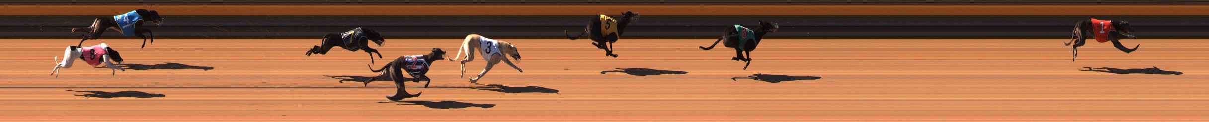 Photo finish for Ballarat Race 1
