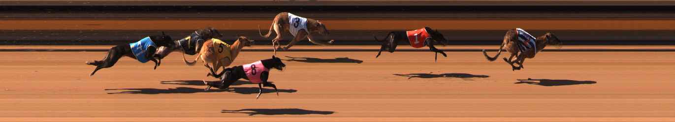 Photo finish for Ballarat Race 2