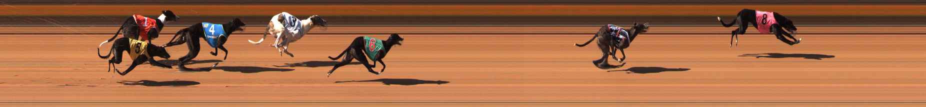Photo finish for Ballarat Race 4