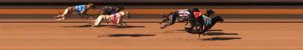 Photo finish for Ballarat Race 5