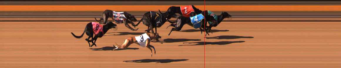 Photo finish for Ballarat Race 6