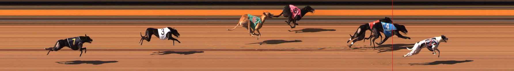 Photo finish for Ballarat Race 7