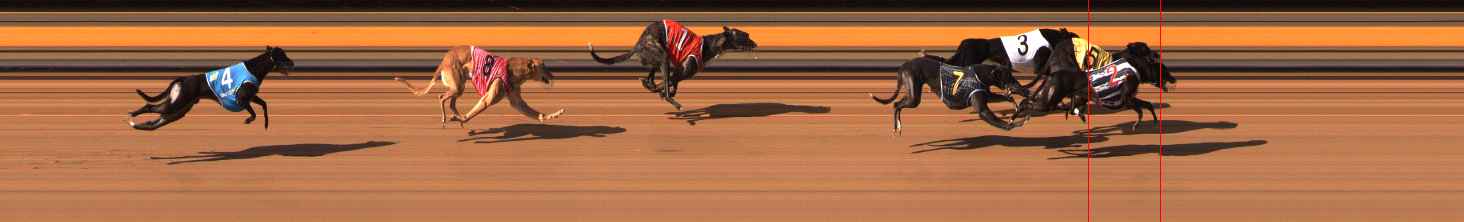 Photo finish for Ballarat Race 8