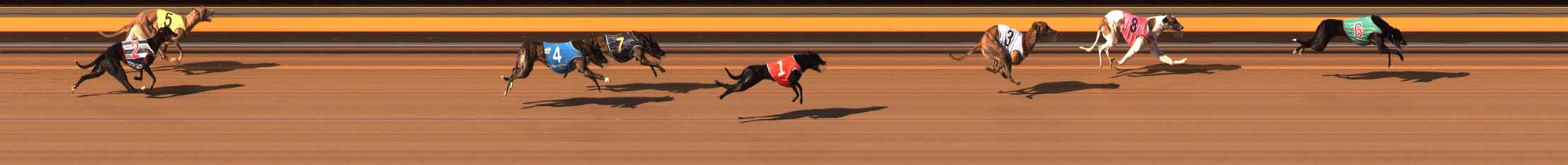 Photo finish for Ballarat Race 9