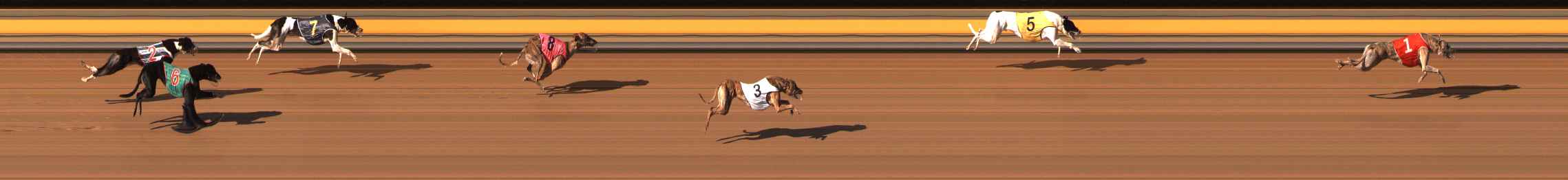Photo finish for Ballarat Race 10