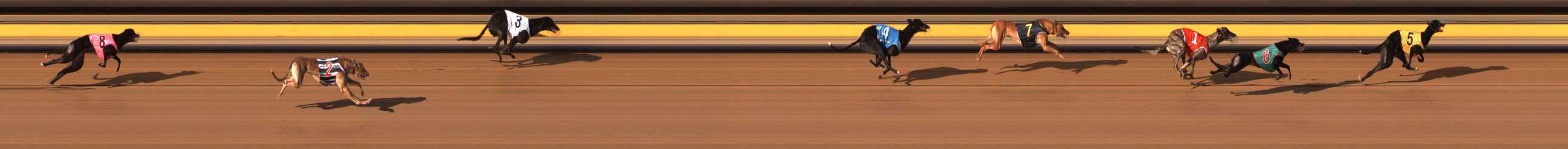 Photo finish for Ballarat Race 11