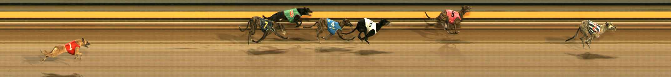 Photo finish for Ballarat Race 2