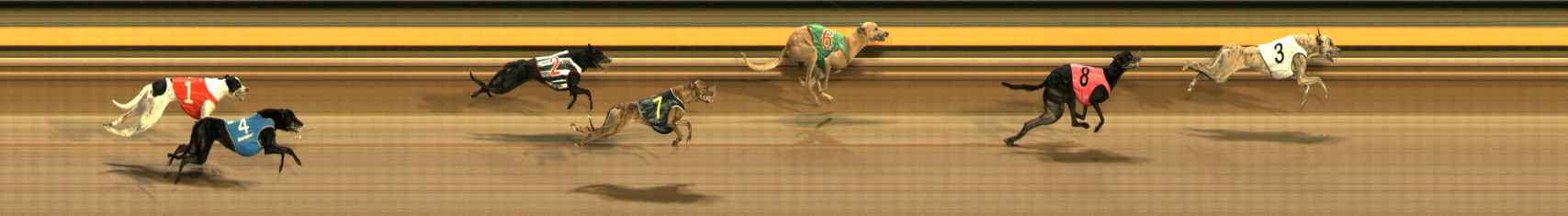 Photo finish for Ballarat Race 3