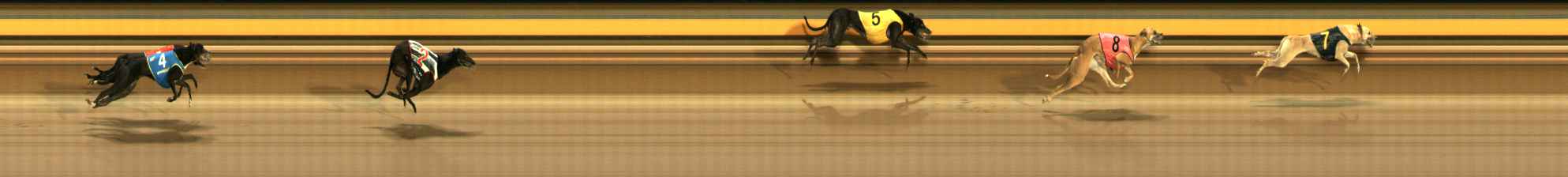 Photo finish for Ballarat Race 4