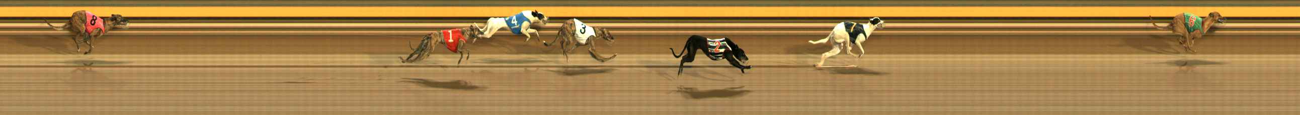Photo finish for Ballarat Race 5