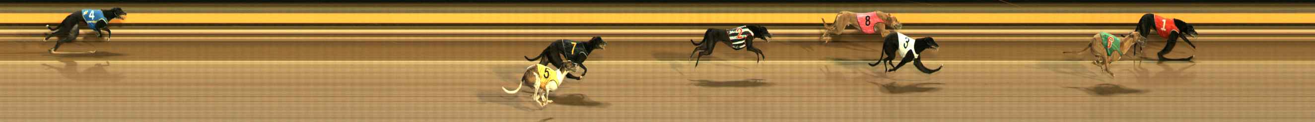 Photo finish for Ballarat Race 6