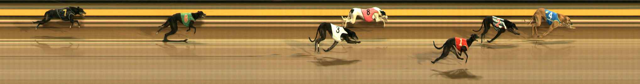 Photo finish for Ballarat Race 8