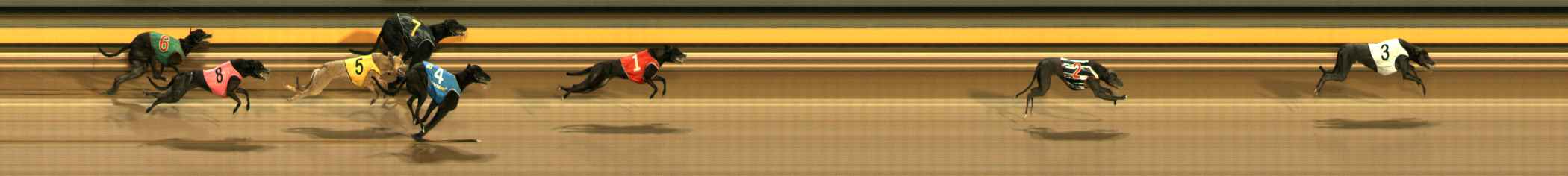 Photo finish for Ballarat Race 9