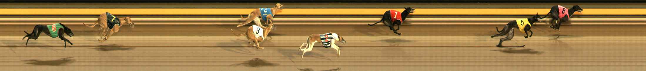 Photo finish for Ballarat Race 12