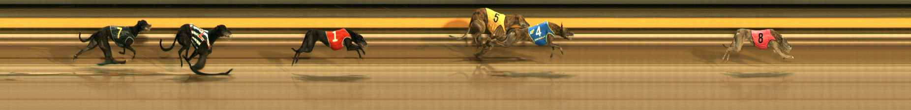 Photo finish for Ballarat Race 13