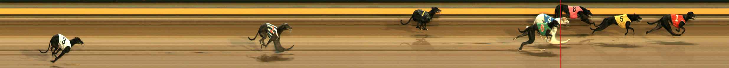 Photo finish for Ballarat Race 2