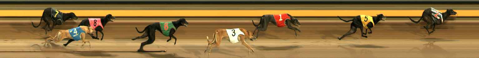 Photo finish for Ballarat Race 3