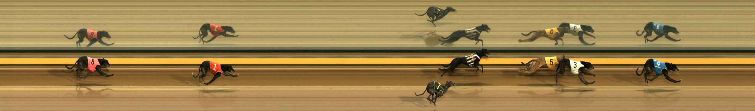 Photo finish for Ballarat Race 4