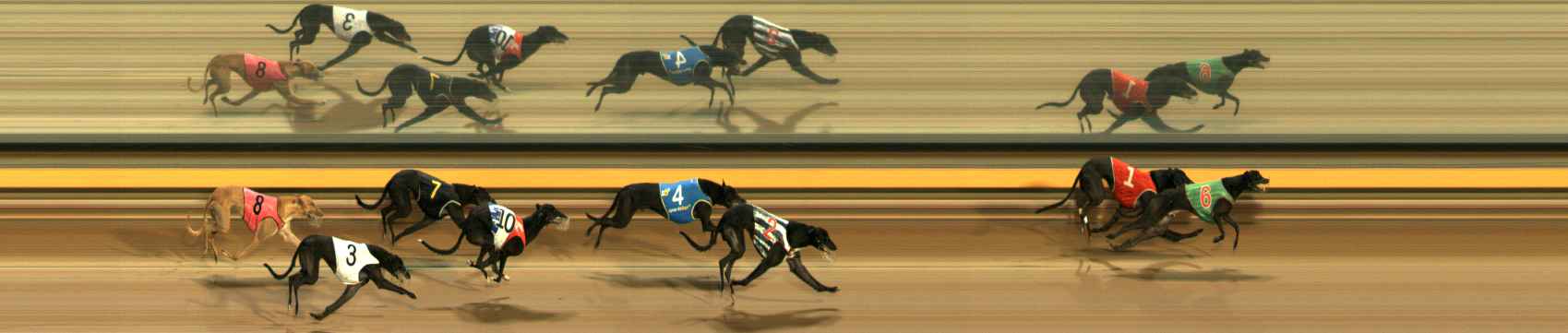 Photo finish for Ballarat Race 6