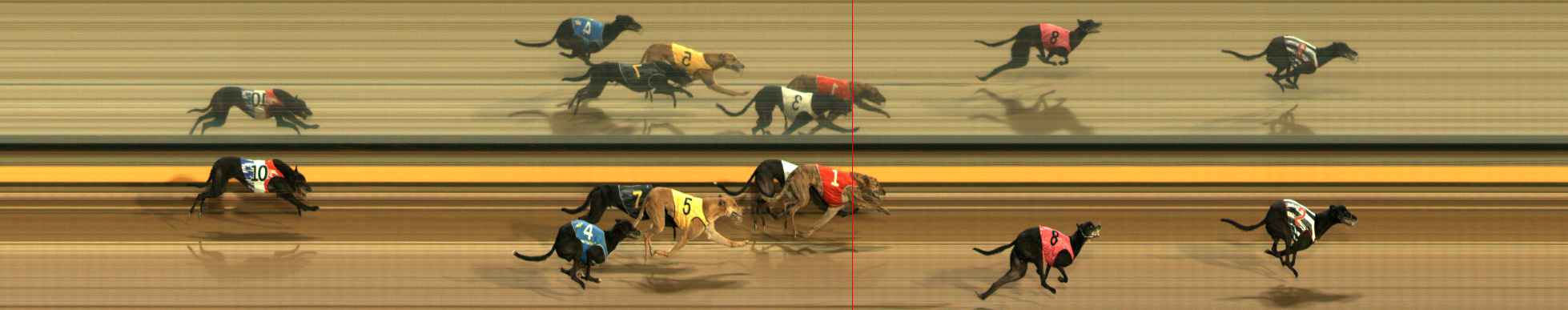 Photo finish for Ballarat Race 8