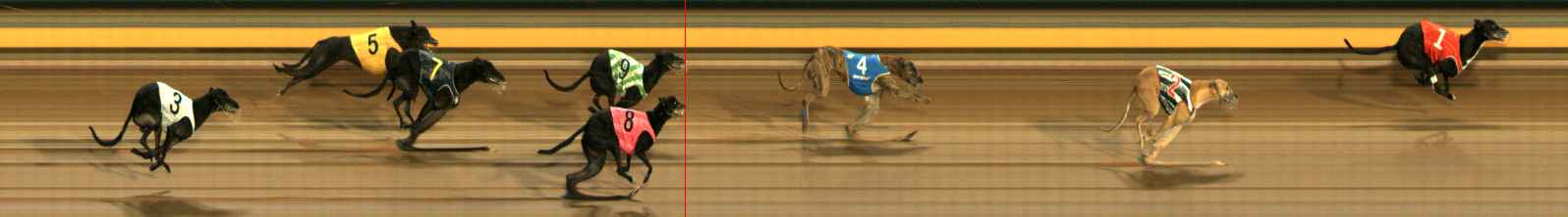 Photo finish for Ballarat Race 12