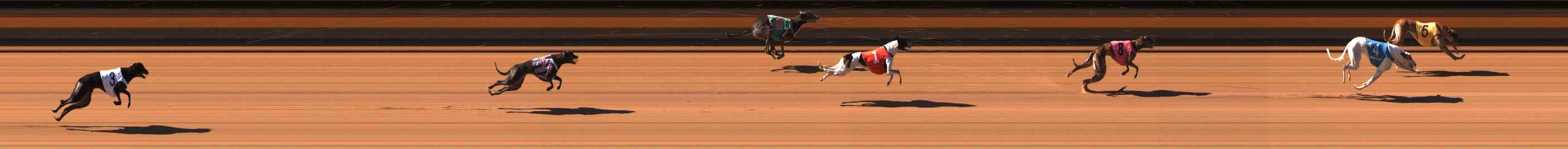 Photo finish for Ballarat Race 2