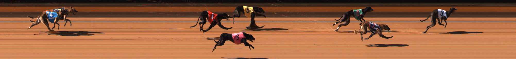 Photo finish for Ballarat Race 3