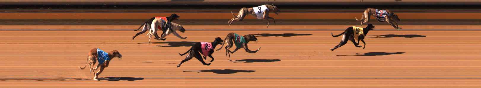 Photo finish for Ballarat Race 4