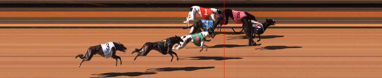 Photo finish for Ballarat Race 5