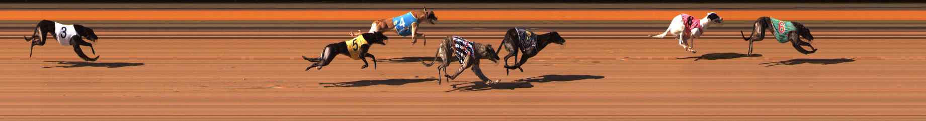 Photo finish for Ballarat Race 6