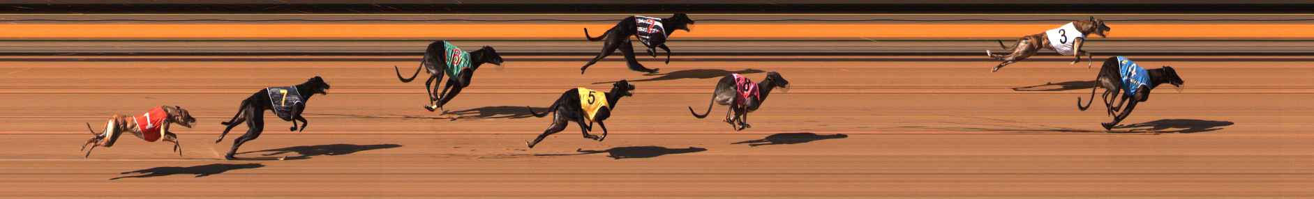 Photo finish for Ballarat Race 7