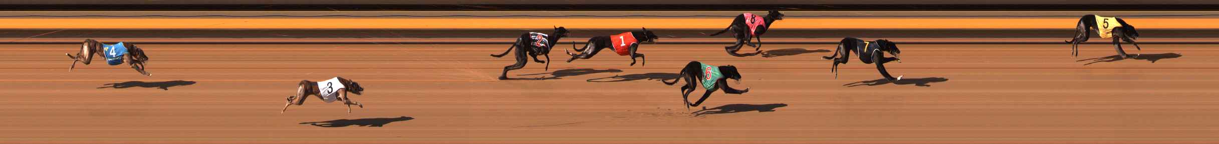 Photo finish for Ballarat Race 8